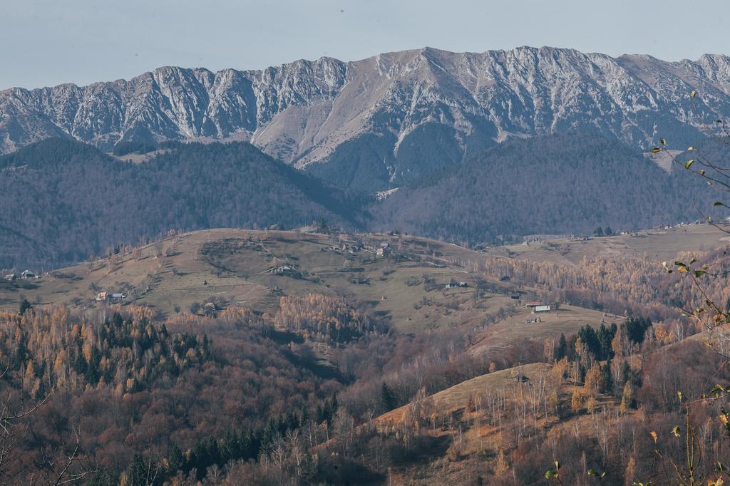 Drumul Carului Villa Moieciu de Jos Habitación foto